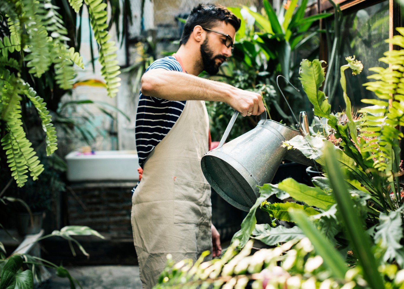 homem a regar plantas