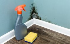 Como limpar bolor das paredes