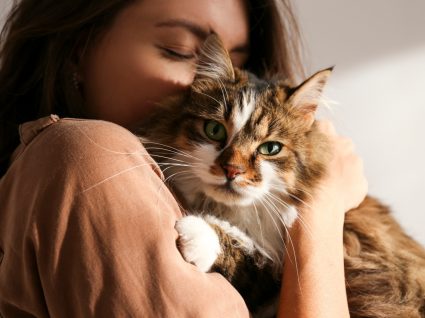 Esterilizar gata