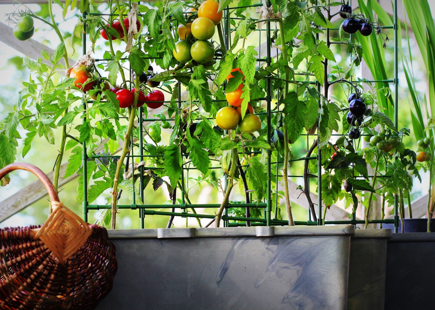 horta vertical em varanda de apartamento