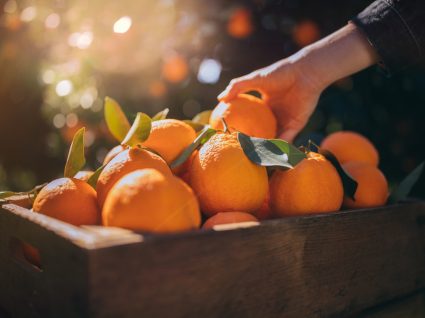 Laranjas como fonte de vitamina c