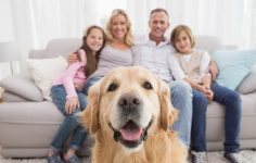 Cão com família em apartamento