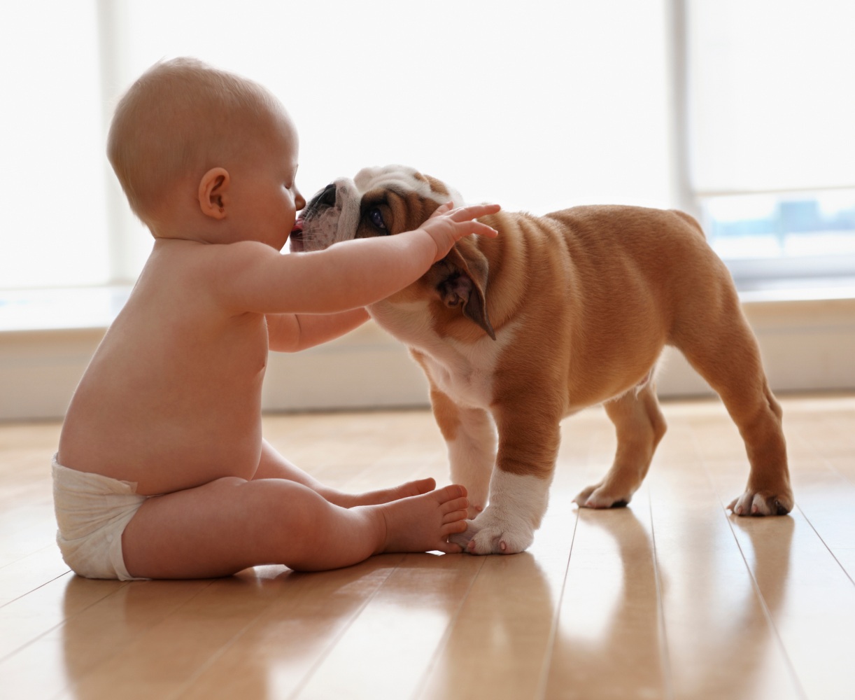 raças de cães para crianças