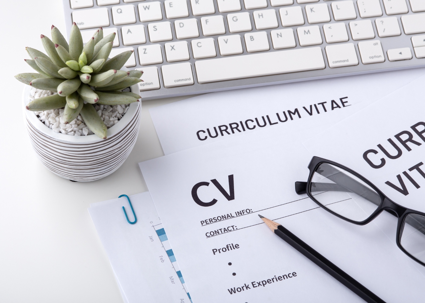 modelos de Curriculum Vitae impressos