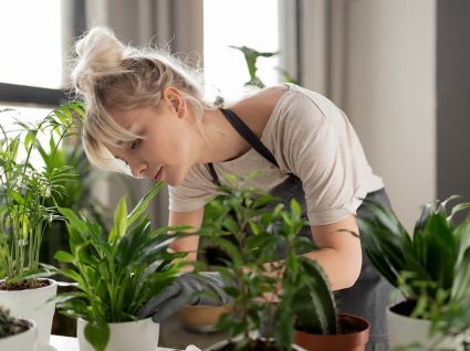 transplantar plantas