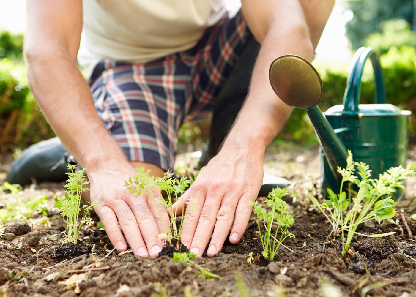 pessoa a cultivar uma horta em casa