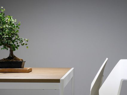 Como cuidar de um bonsai: 6 aspetos que deve mesmo ter em conta