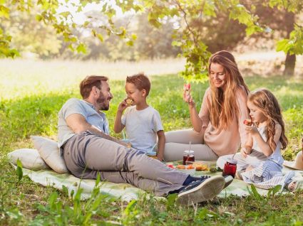 Receitas de petiscos para piquenique de verão: ideias frescas e deliciosas