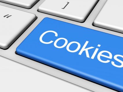 Saiba o que são cookies e para que servem