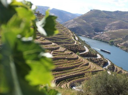 Fim-de-semana no Douro: dicas para dias memoráveis