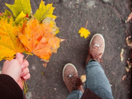 Precisa de motivos para viajar no outono? Temos 6 para lhe apresentar