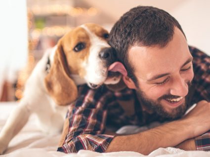 Sabe porque os cães ladram? Conheça bons 12 motivos!