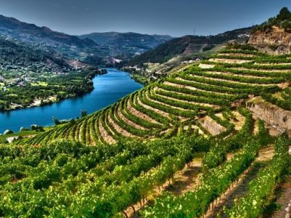 Escapadinhas no Douro: plano para dias perfeitos