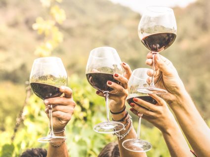 Conheça 6 dos países com os melhores vinhos do mundo