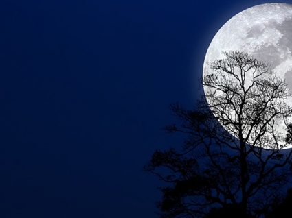 Vem aí uma super lua e será a maior e mais brilhante de 2019