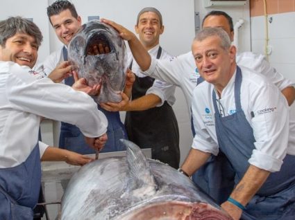 Porto Santo está na Rota do Atum. E há um festival!