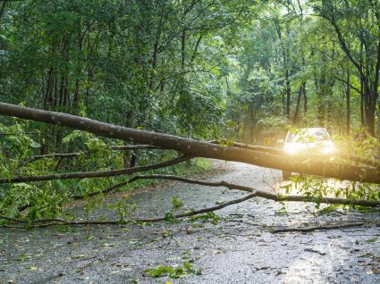 O seu seguro auto cobre riscos catastróficos? Saiba porque é importante