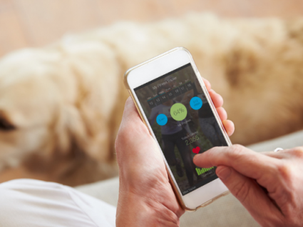 As melhores apps para quem tem animais de estimação