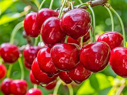 Saiba quais são as frutas e legumes de maio