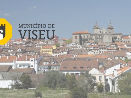 Câmara de Viseu está a contratar arquitetos e engenheiros