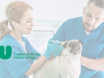 ZU tem emprego para vendedores e veterinários