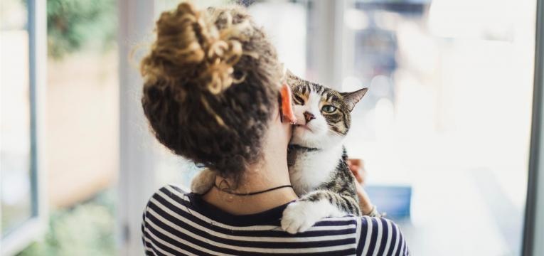 relaxamento é um dos motivos por que os gatos ronronam