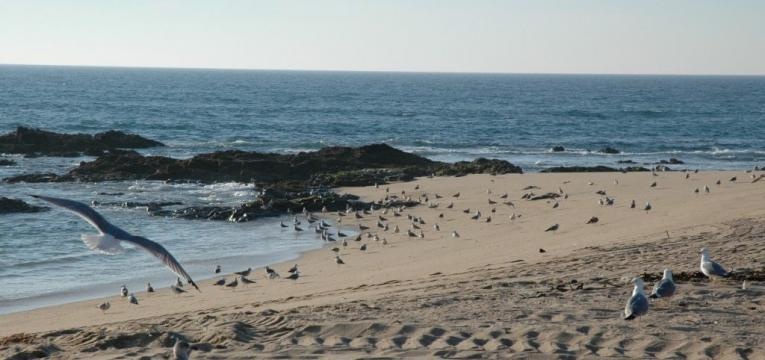 praias a norte do Porto