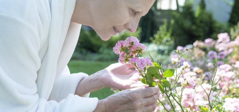 cancro na terceira idade