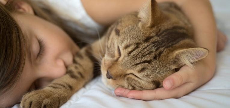 crianças e animais de estimação