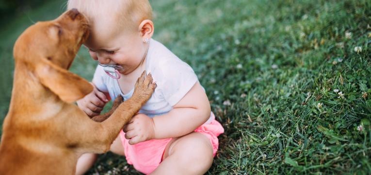 crianças e animais de estimação