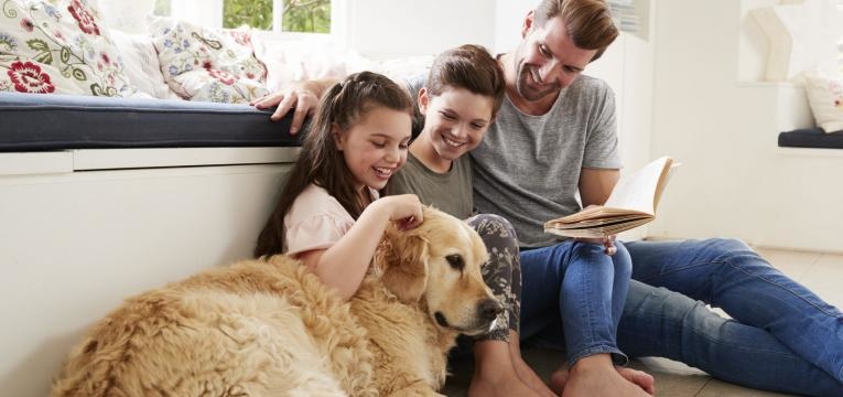 crianças e animais de estimação