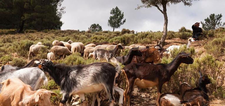 tesouros-escondidos-em-portugal_Comareira