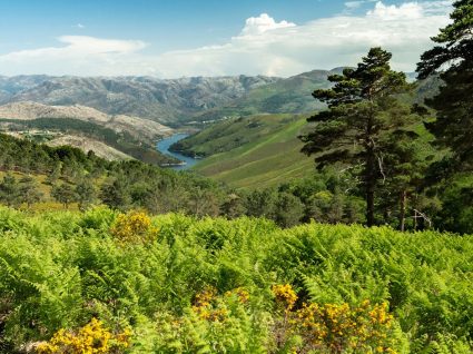 6 parques de campismo no Gerês para se apaixonar pela região