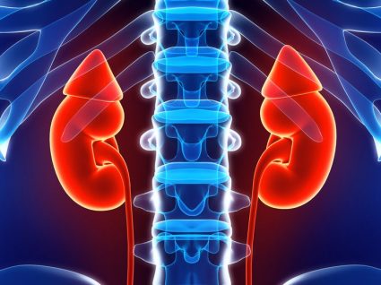 Cancro do rim: causas, sintomas e tratamento