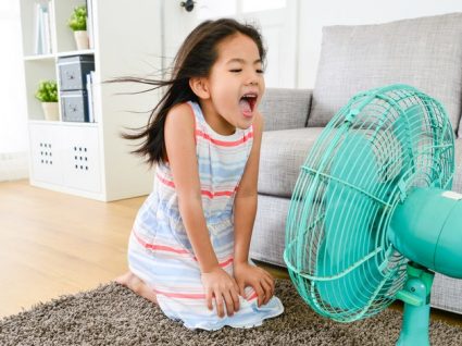 Como escolher a ventoinha ideal