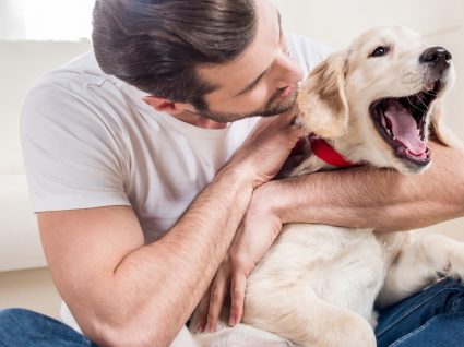 Quanto custa ter um cão? Calculamos por si