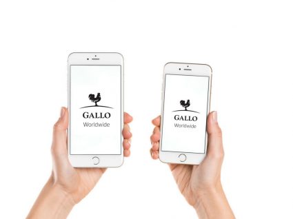 Gallo Worldwide procura técnico de produção