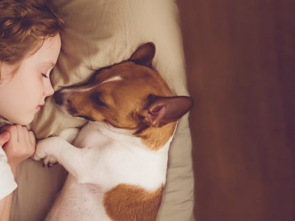 Crianças e animais de estimação: tudo o que deve saber