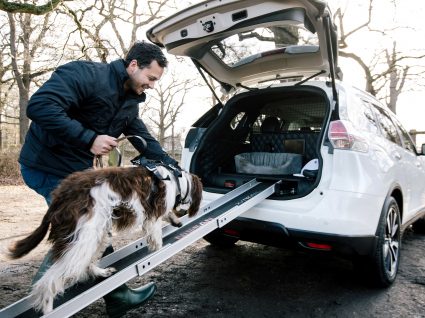 Nissan estuda carro que é um luxo para os cães