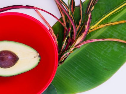 10 boas razões para comer a semente de abacate