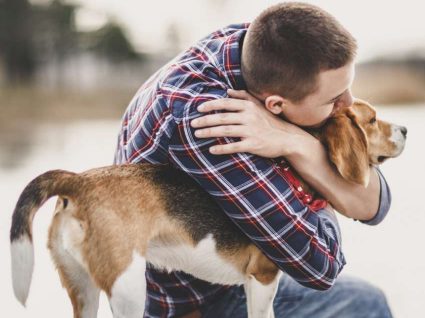 Sabia que os animais ajudam a reduzir os níveis de stress?