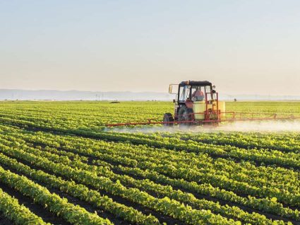 Apoios à agricultura a que pode recorrer