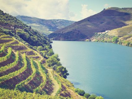 5 casas com piscina no Douro para alugar já