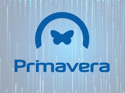 Primavera Software com oportunidades de emprego