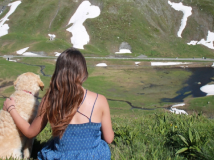 À volta do mundo com um cão e uma van