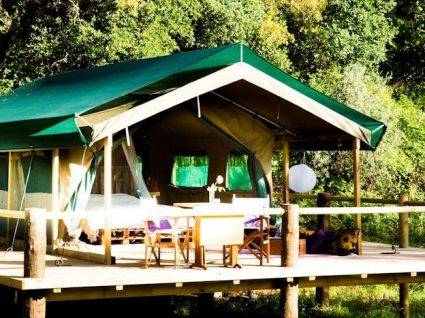 Há uma nova tenda glamping no Figueirinha Ecoturismo