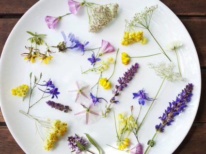 10 flores comestíveis para tornar os seus pratos ainda mais especiais