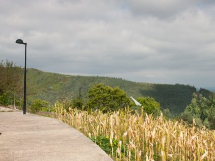 Aldeias do Xisto de Góis: 4 lugares plenos de beleza e tradição