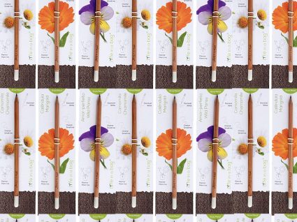 Grow pencil: o lápis que se transforma em planta