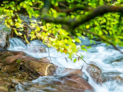 Água Formosa: uma aldeia de sossego e tradição